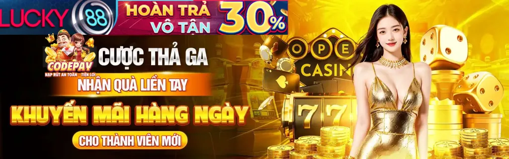 Tổng quan nền tảng dbet12 win